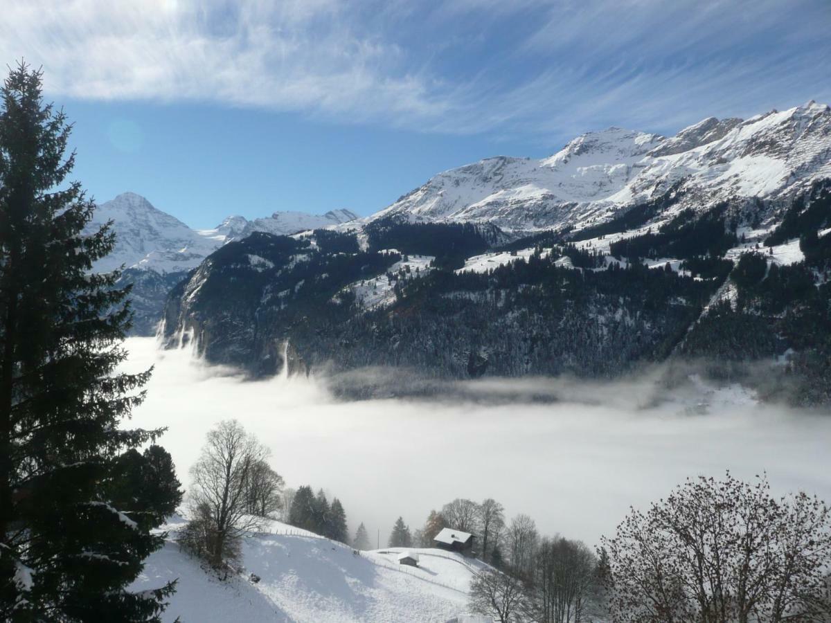 Holiday Flat #1, Chalet Aberot, Wengen, Switzerland Extérieur photo