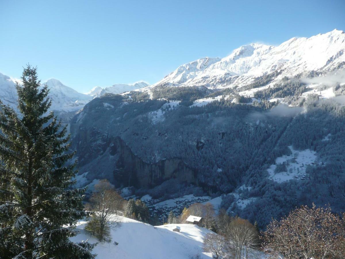 Holiday Flat #1, Chalet Aberot, Wengen, Switzerland Extérieur photo